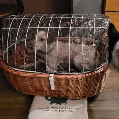 Fahrradkorb-Beitrag-Bild