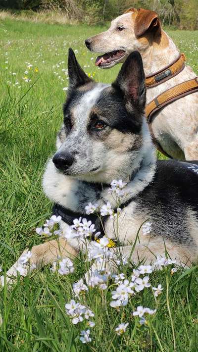 Theos  Fotochallenge Nummer 2-Beitrag-Bild