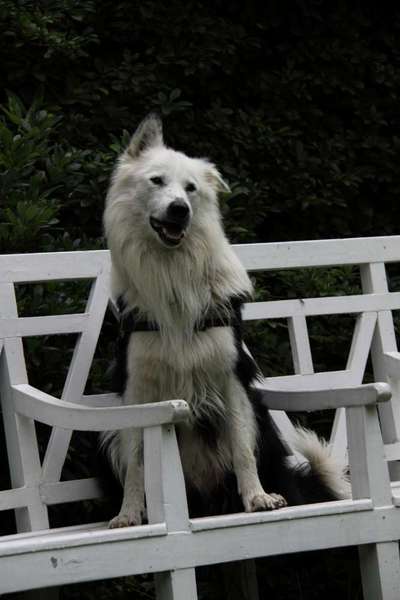 Pause an der Bank-Beitrag-Bild