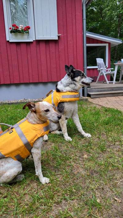 Passform Schwimmweste-Beitrag-Bild