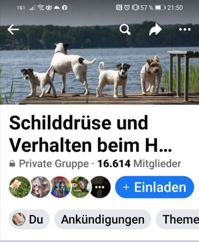 Subklinische Schilddrüsenunterfunktion-Beitrag-Bild