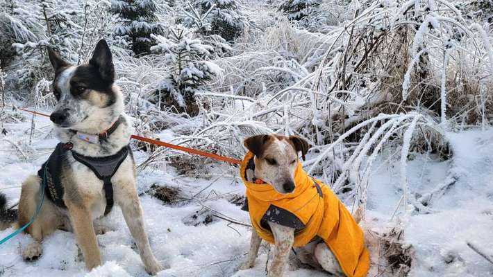 Wintermäntel bzw. Was fürn Übergang-Beitrag-Bild