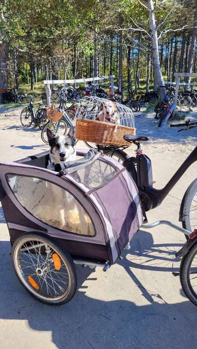 Mit Fahrradanhänger unterwegs?-Beitrag-Bild