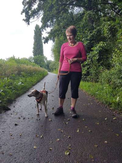 Adoptieren statt Produzieren fast unmöglich-Beitrag-Bild