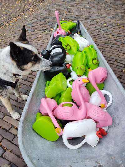 Fotochallenge 129-Beitrag-Bild