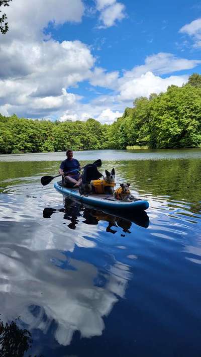 Stand Up Paddle Board-Beitrag-Bild