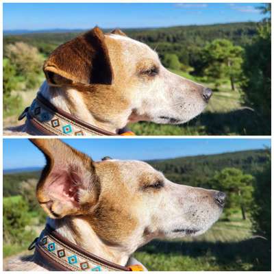 Was hat euch heute genervt?-Beitrag-Bild