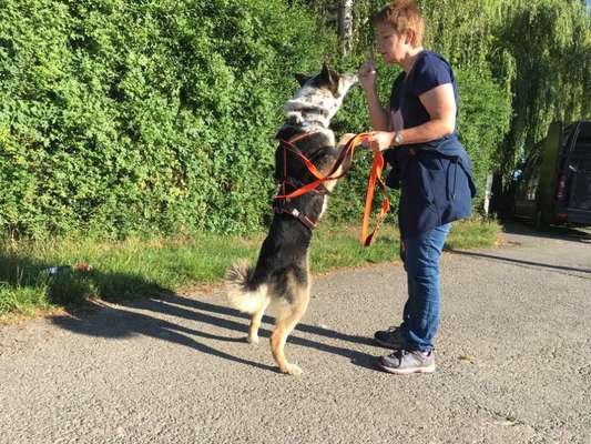 Adoptieren statt Produzieren fast unmöglich-Beitrag-Bild