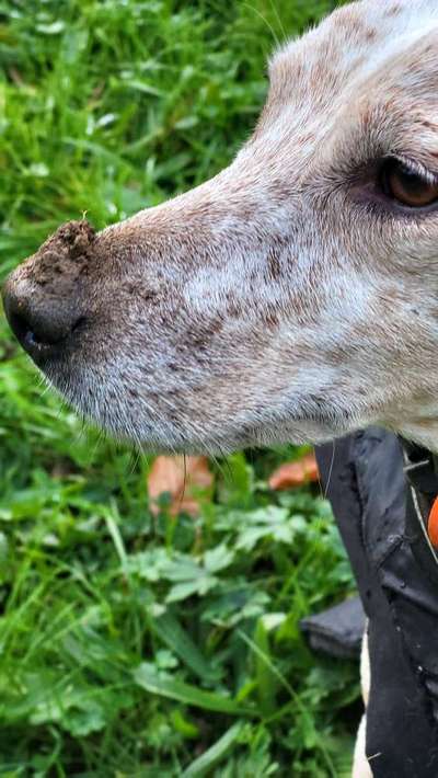 Fotochallenge 113: Auf frsicher Tat ertappt-Beitrag-Bild