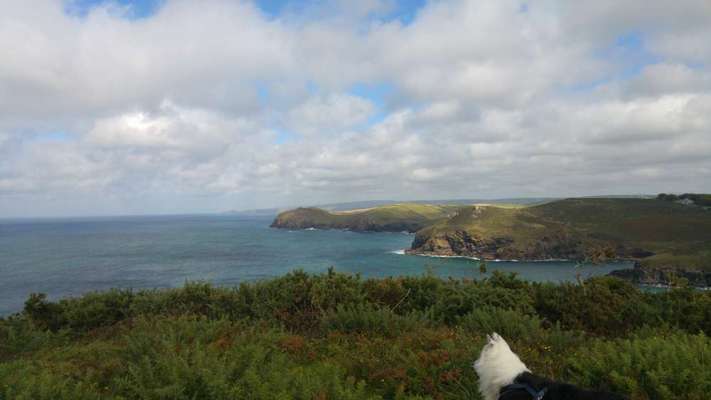 Urlaub mit Hund - Hat jemand Empfehlungen?-Beitrag-Bild