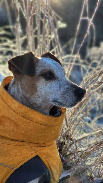 19. Farben  Fottochallenge :
Lieblingsfarbe-Beitrag-Bild