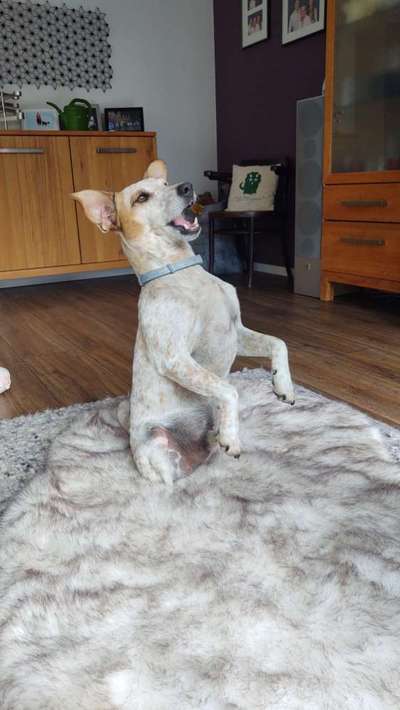 69. Handy-Fotochallenge: Soundtrack-Beitrag-Bild