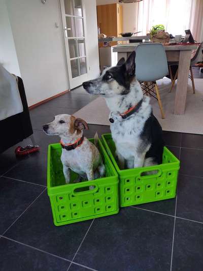 Trick-Challenge Nr.26 Quetschen-Beitrag-Bild