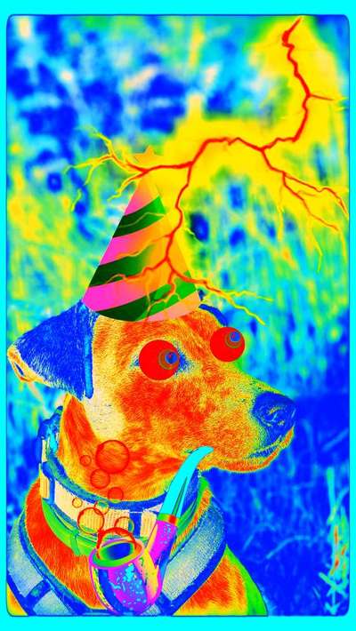 Photoshop und Co.-Beitrag-Bild