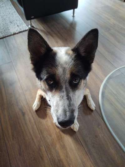 Von oben-Beitrag-Bild