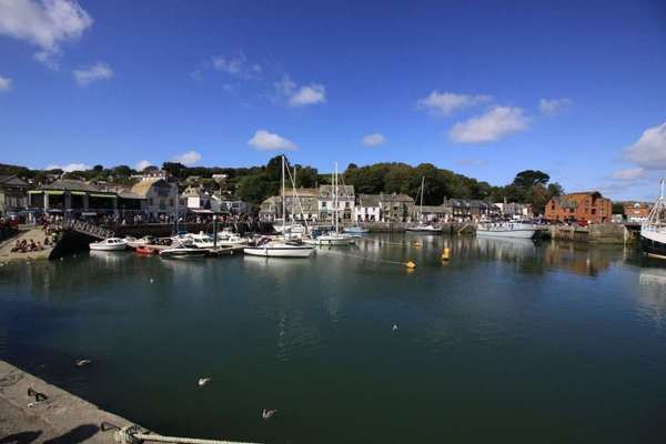 Urlaub in Großbritannien mit Senior-Hund-Beitrag-Bild