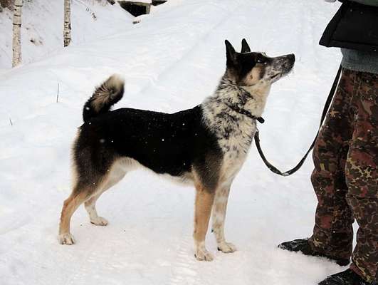 Ist das ein...?-Beitrag-Bild