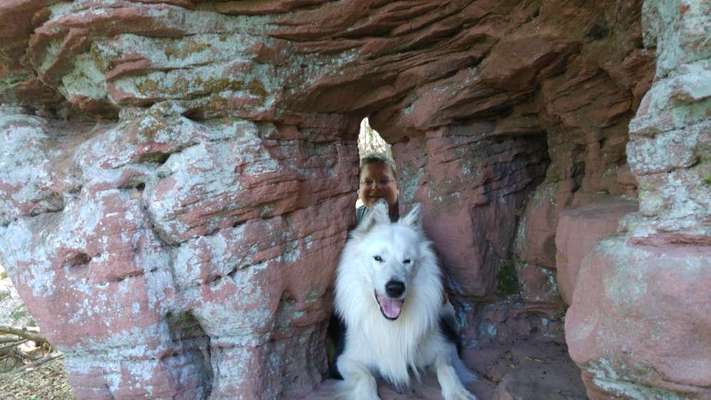 Dogorama Photo Challenge - Steine/Felsen-Beitrag-Bild