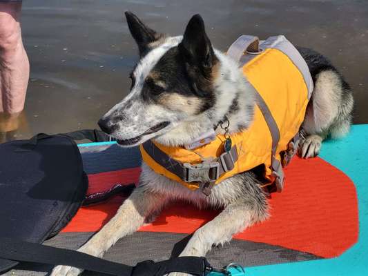 Schwimmweste / Rettungsweste - wann ja, wann nein?-Beitrag-Bild