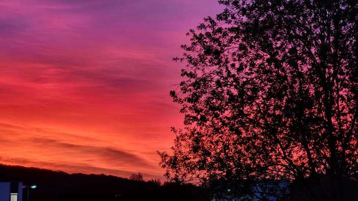 Was hat euch heute gefreut?-Beitrag-Bild