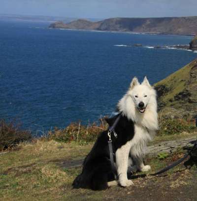 Theos Fotochallange Nummer 4-Beitrag-Bild