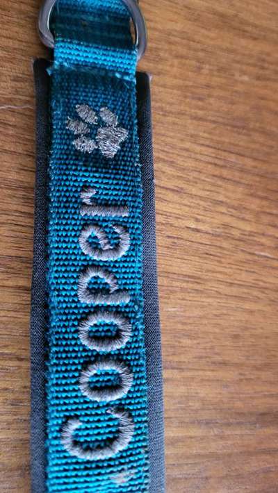 Zeckenmittel mit Baby/Kleinkind im Haushalt-Beitrag-Bild