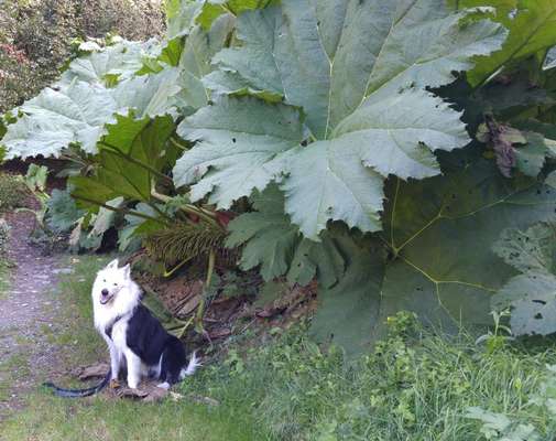 Fotochallenge 78

Es grünt und blüht-Beitrag-Bild