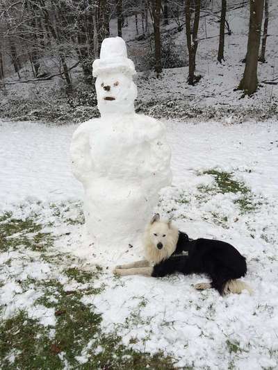 Dogorama Photo Challenge - Zufallsfund beim Gassi-Beitrag-Bild