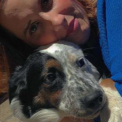 Hundetreffen-Spielkameraden