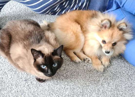 Challenge 30  Freundschaft-Beitrag-Bild