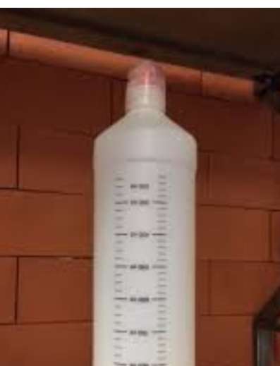 leinenaggression-Beitrag-Bild