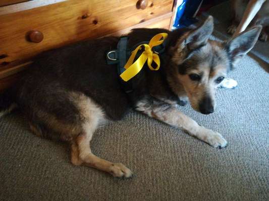 Lieblings "nervige Sprüche"-Beitrag-Bild