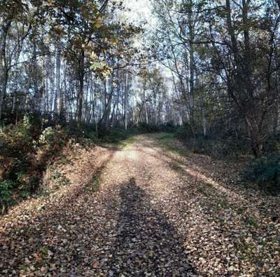 Hundeauslaufgebiet-Halde Lünen-Horstmar-Bild