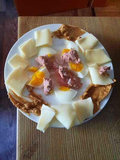 Zeigt her Eure Futternäpfe-Beitrag-Bild