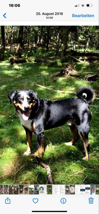 Foto Challenge Nr. 79-Beitrag-Bild