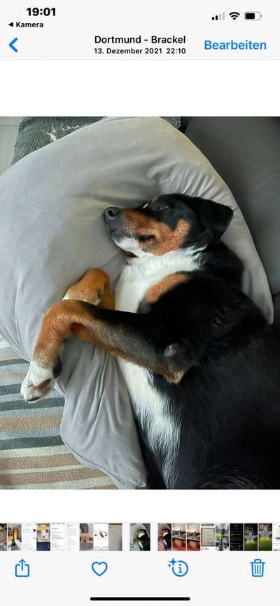 Foto Challange Nr.80-Beitrag-Bild