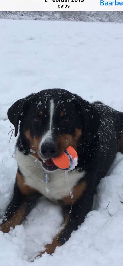 Dogorama Photo Challenge - Es wird nochmal kalt!-Beitrag-Bild