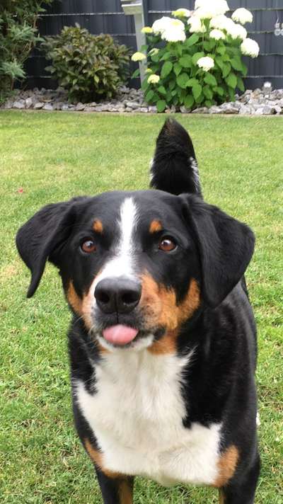 Fotochallenge Nr. 67: Euer Lieblingsbild-Beitrag-Bild