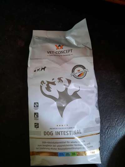 Rhodesian Ridgeback-Beitrag-Bild