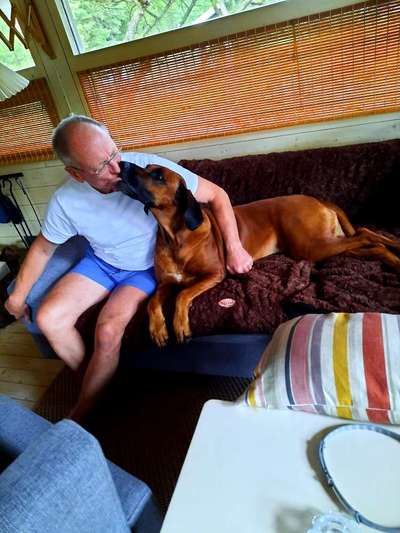 Dogorama Photo Challenge - Liebesbeweis-Beitrag-Bild