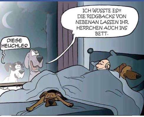Gemeinsames Kuscheln im Bett!-Beitrag-Bild
