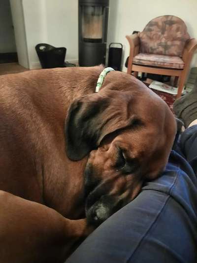 Gemeinsames Kuscheln im Bett!-Beitrag-Bild