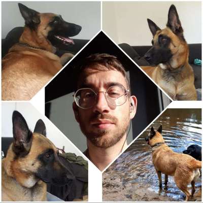 Hundetreffen-Gassi gehen und Spielen in der Heide-Profilbild