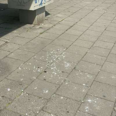 Giftköder-Tabletten auf dem Boden!!-Bild