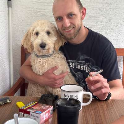 Pascal's Profilbild