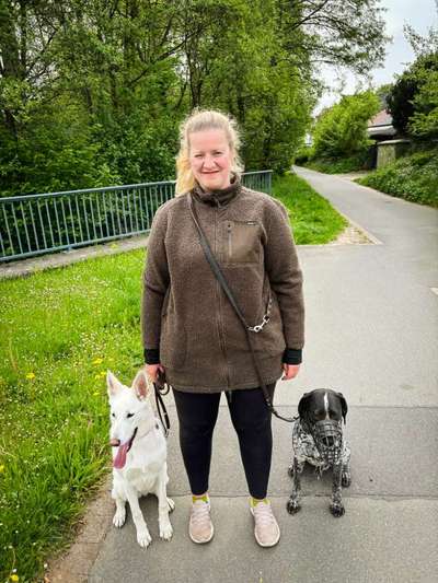 Hundetreffen-Gassitreffen/Austausch-Bild