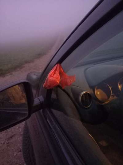 Fehlende Mülleimer-Beitrag-Bild