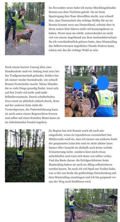 man trail-Beitrag-Bild