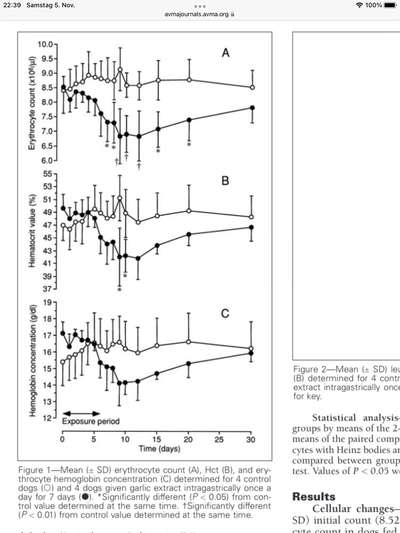 Hochwertiges / Bedarfsgerechtes Nassfutter (ohne Barfen), welches nur?-Beitrag-Bild