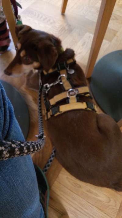 Impulskontrolle Challenge Nr.: 7
         "Gesellschaftsfähig"-Beitrag-Bild